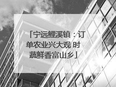 宁远鲤溪镇：订单农业兴大观 时蔬鲜香富山乡
