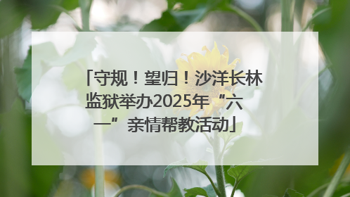 守规！望归！沙洋长林监狱举办2025年“六一”亲情帮教活动