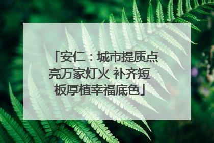 安仁：城市提质点亮万家灯火 补齐短板厚植幸福底色