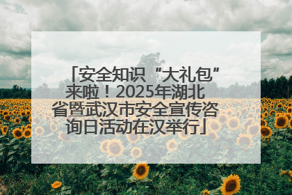 安全知识“大礼包”来啦！2025年湖北省暨武汉市安全宣传咨询日活动在汉举行