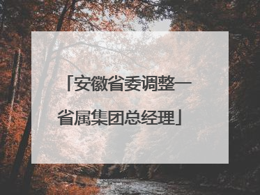 安徽省委调整一省属集团总经理