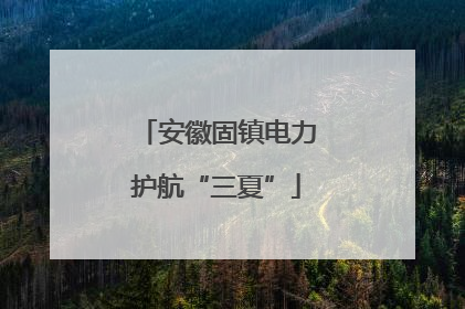 安徽固镇电力护航“三夏”