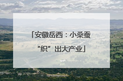 安徽岳西：小桑蚕“织”出大产业
