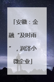 安徽：金融“及时雨”，润泽小微企业