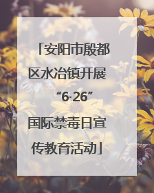 安阳市殷都区水冶镇开展“6·26”国际禁毒日宣传教育活动