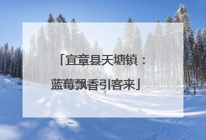 宜章县天塘镇：蓝莓飘香引客来