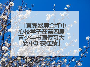 宜宾翠屏金坪中心校学子在第四届青少年书画传习大赛中斩获佳绩