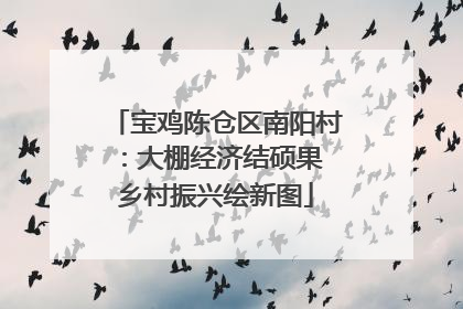 宝鸡陈仓区南阳村：大棚经济结硕果 乡村振兴绘新图