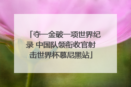 夺一金破一项世界纪录 中国队领衔收官射击世界杯慕尼黑站