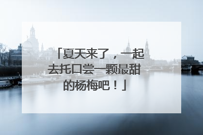 夏天来了，一起去托口尝一颗最甜的杨梅吧！