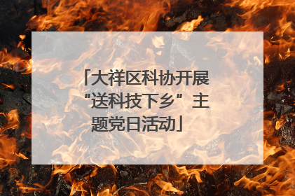 大祥区科协开展“送科技下乡”主题党日活动