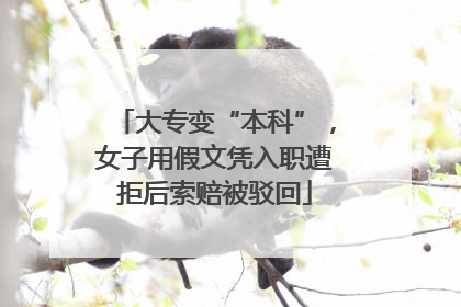 大专变“本科”，女子用假文凭入职遭拒后索赔被驳回