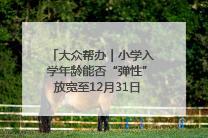 大众帮办｜小学入学年龄能否“弹性”放宽至12月31日？有地方已在探索