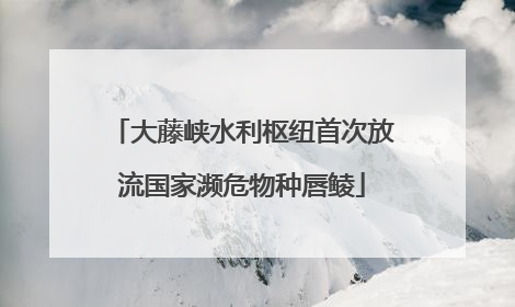 大藤峡水利枢纽首次放流国家濒危物种唇鲮