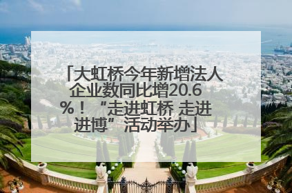 大虹桥今年新增法人企业数同比增20.6%！“走进虹桥 走进进博”活动举办