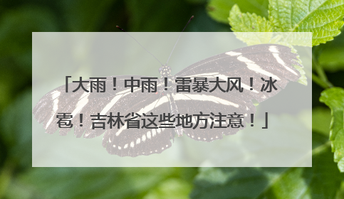 大雨！中雨！雷暴大风！冰雹！吉林省这些地方注意！