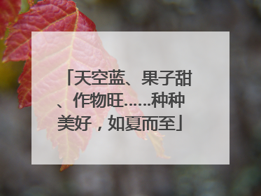 天空蓝、果子甜、作物旺……种种美好，如夏而至