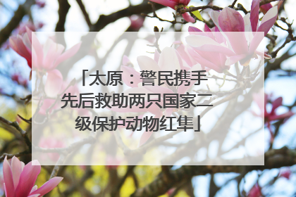 太原：警民携手 先后救助两只国家二级保护动物红隼