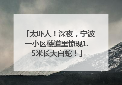 太吓人！深夜，宁波一小区楼道里惊现1.5米长大白蛇！