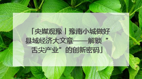 央媒观豫丨豫南小城做好县域经济大文章——解锁“舌尖产业”的创新密码