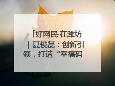 好网民·在潍坊｜夏俊磊：创新引领，打造“幸福码头”典范