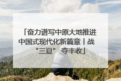 奋力谱写中原大地推进中国式现代化新篇章丨战“三夏” 夺丰收