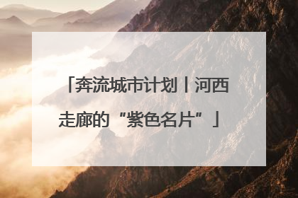 奔流城市计划丨河西走廊的“紫色名片”