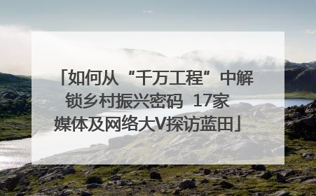 如何从“千万工程”中解锁乡村振兴密码  17家媒体及网络大V探访蓝田