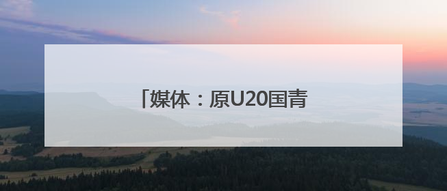 媒体：原U20国青主帅久尔杰维奇救火国足，带队征战东亚杯