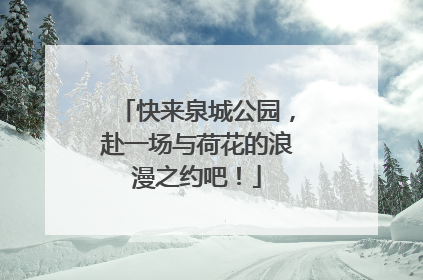 快来泉城公园，赴一场与荷花的浪漫之约吧！