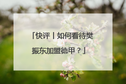 快评丨如何看待樊振东加盟德甲？