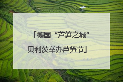 德国“芦笋之城”贝利茨举办芦笋节