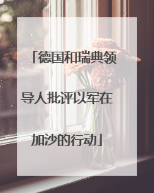 德国和瑞典领导人批评以军在加沙的行动