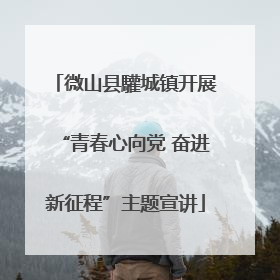 微山县驩城镇开展“青春心向党 奋进新征程”主题宣讲