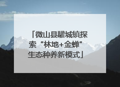 微山县驩城镇探索“林地+金蝉”生态种养新模式