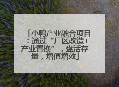小鸭产业融合项目：通过“厂区改造+产业置换”，盘活存量，增值增效