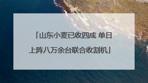 山东小麦已收四成 单日上阵八万余台联合收割机