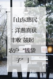 山东惠民：洋葱喜获丰收 鼓起农户“钱袋子”