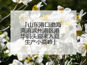 山东港口渤海湾港滨州港区港华码头迎来入夏生产小高峰