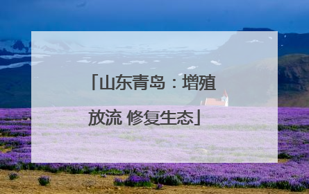 山东青岛：增殖放流 修复生态