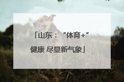 山东：“体育+”健康 尽显新气象