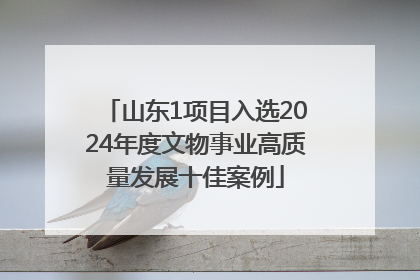 山东1项目入选2024年度文物事业高质量发展十佳案例