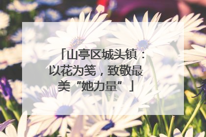 山亭区城头镇：以花为笺，致敬最美“她力量”