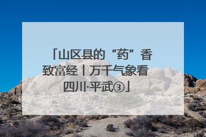 山区县的“药”香致富经丨万千气象看四川·平武③