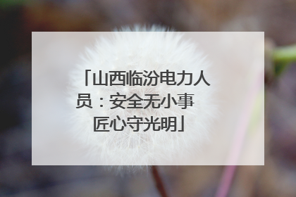 山西临汾电力人员：安全无小事 匠心守光明