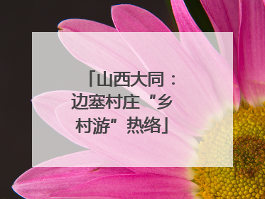山西大同：边塞村庄“乡村游”热络