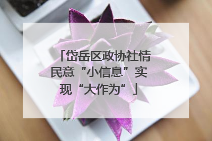 岱岳区政协社情民意“小信息”实现“大作为”