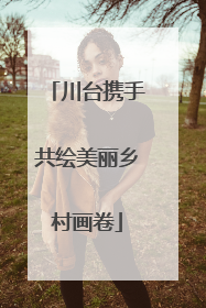 川台携手共绘美丽乡村画卷