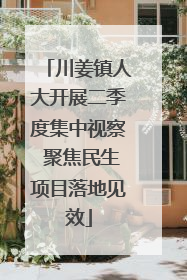 川姜镇人大开展二季度集中视察 聚焦民生项目落地见效