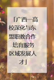 广西一高校深化与东盟职教合作 培育服务区域发展人才